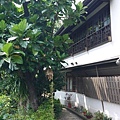 P1280069_調整大小1.JPG