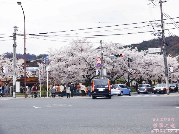 京都哲學之道P1220349_調整大小1.JPG