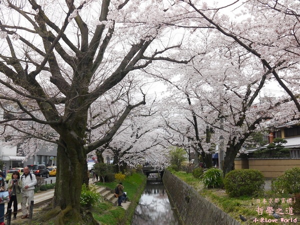 京都哲學之道P1220378_調整大小1.JPG