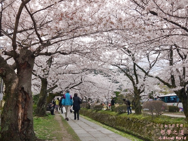 京都哲學之道P1220413_調整大小1.JPG