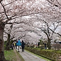 京都哲學之道P1220413_調整大小1.JPG