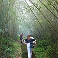 二延平步道P1290379_調整大小1