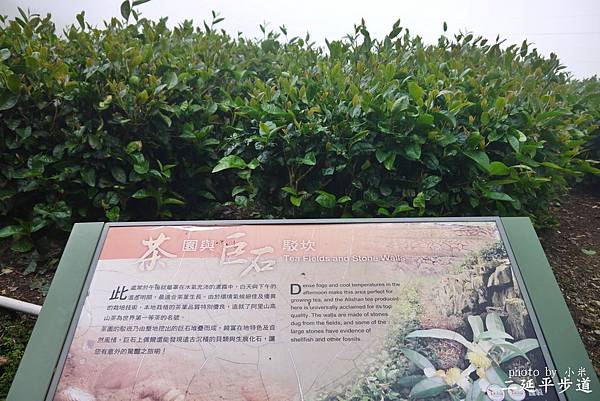 二延平步道P1290397_調整大小1