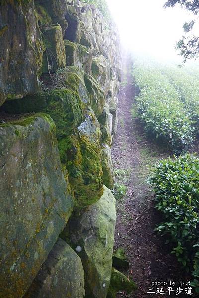 P1290405_調整大小1