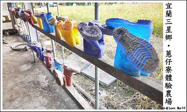 P1290494_調整大小1