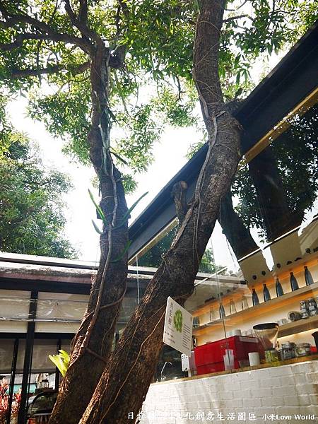 P1390185_調整大小1