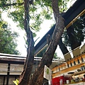 P1390185_調整大小1