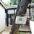 P1390186_調整大小1