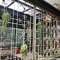 P1390213_調整大小1