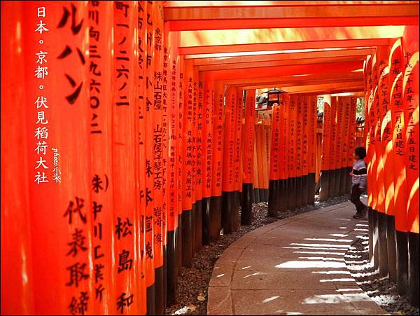 伏見稻荷大社P1240301_調整大小1