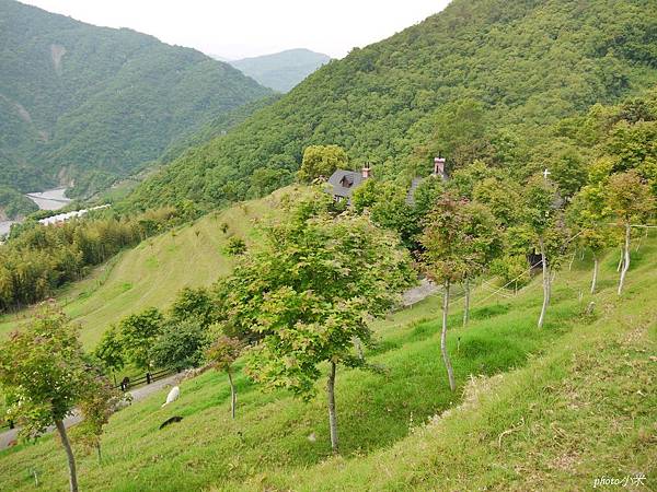 清境貝卡巧克力莊園P1410218_調整大小1