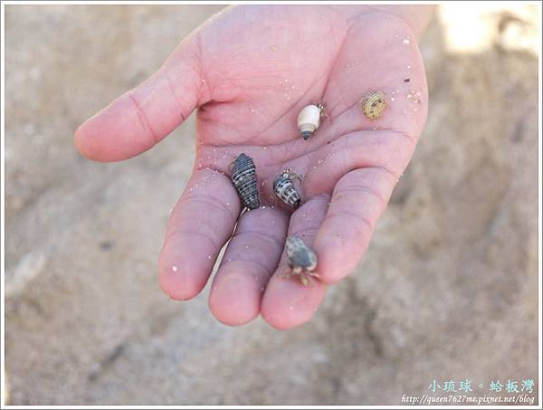 P1460186_調整大小1.JPG