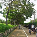 P1450108_調整大小1.JPG