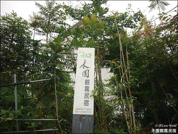 阿里山禾園觀霧民宿P1470236_調整大小1.JPG