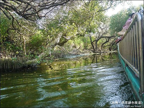 四草綠色隧道(台灣袖珍版亞馬遜河)P1530051_調整大小1.JPG