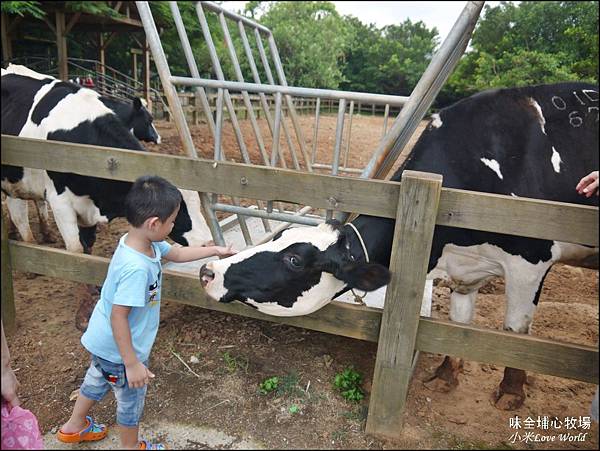 桃園味全埔心牧場P1550294_調整大小1.JPG