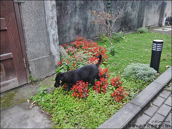 花蓮郭子究音樂文化館P1500536_調整大小1.JPG