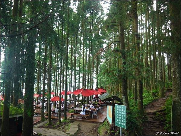新竹山上人家森林農場P1560092_調整大小1.JPG