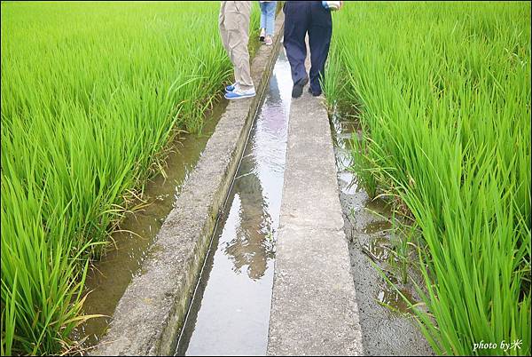 浪漫台三線羅屋書院客家文化P1730266_調整大小1.JPG