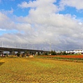 IMG_1273_調整大小1.JPG