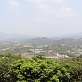 IMG_0031_調整大小1.JPG