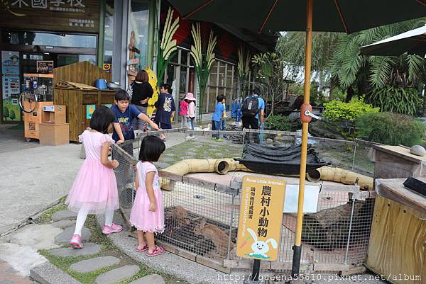 20171130怎麼玩都玩不膩~關山米國學校 (10).JPG