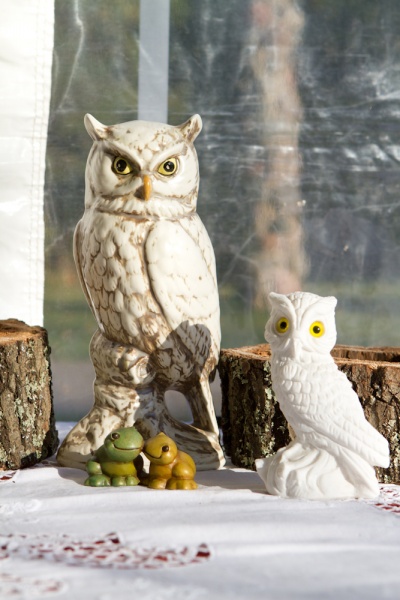 harry-potter-wedding-2-owls.photogallery