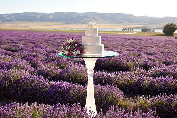 PROVENCE 法國普羅旺斯蜜月旅行推薦,海外蜜月旅行推薦 PROVENCE 法國普羅旺斯蜜月旅行推薦,2018國外海外蜜月旅行推薦
