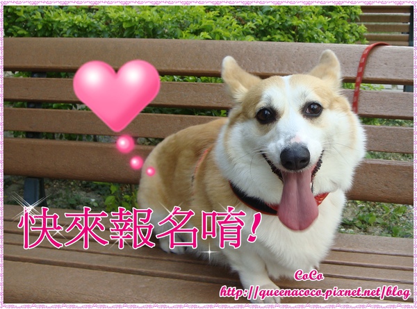 生日報名.JPG 生日報名.JPG