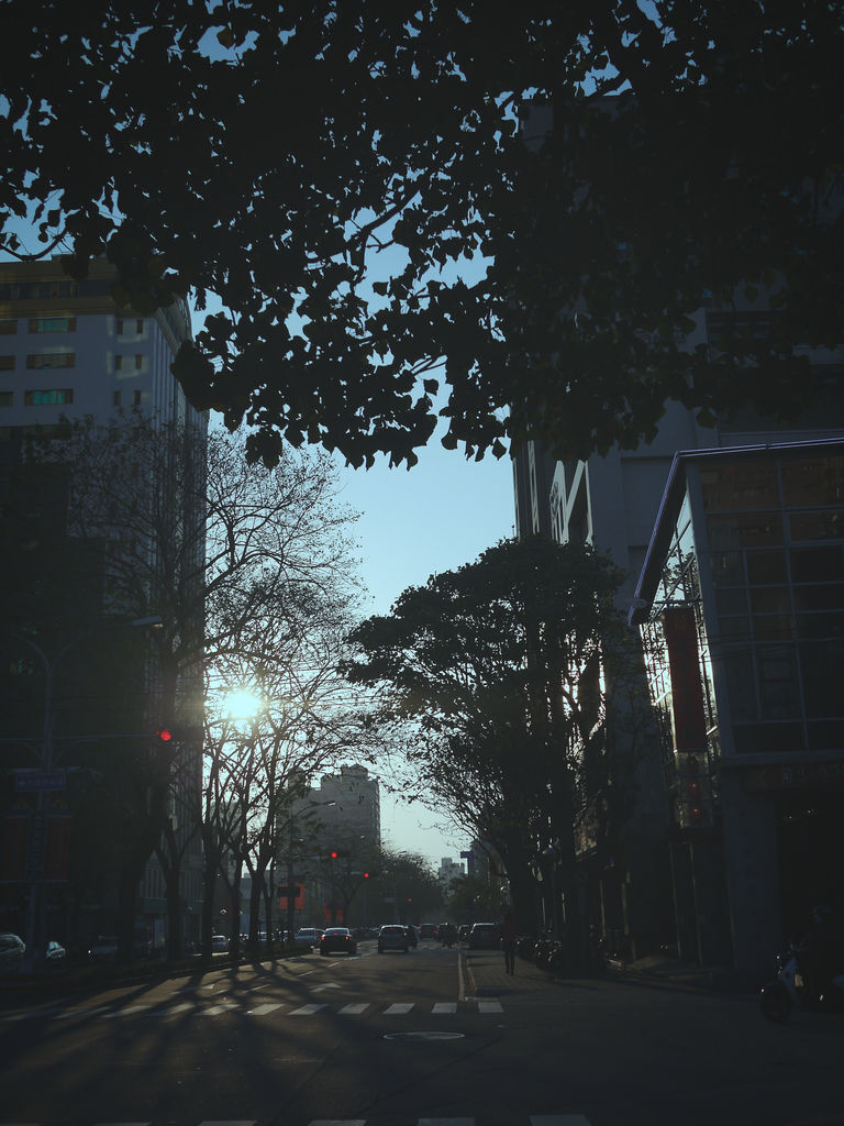 P2130663 P2130663