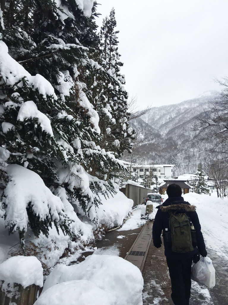 1-2017 1月日本人名古屋 白川鄉♪☃_1506拷貝.jpg