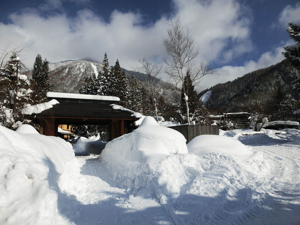 1-CIMG4102.jpg 1-CIMG4102.jpg