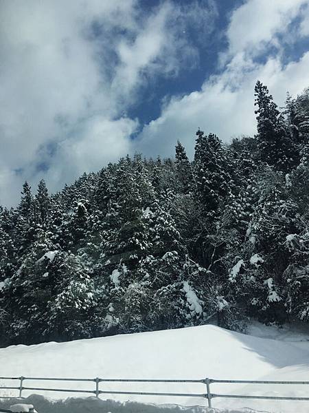 2017 1月日本人名古屋 白川鄉♪☃_7626_1024拷貝.jpg