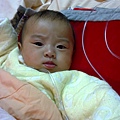 20110316130.jpg