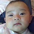 20110315124.jpg