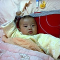 20110316128.jpg