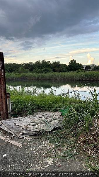 東林BLDC電動割草機CK210東林X電動割草機X容易上手 東林BLDC電動割草機CK210東林X電動割草機X容易上手