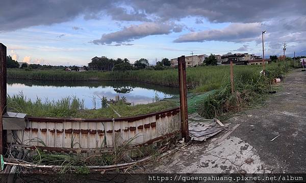 東林BLDC電動割草機CK210東林X電動割草機X容易上手 東林BLDC電動割草機CK210東林X電動割草機X容易上手