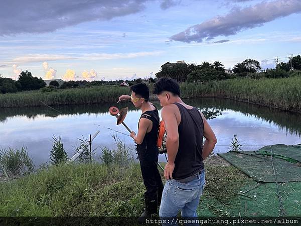 東林BLDC電動割草機CK210東林X電動割草機X容易上手 東林BLDC電動割草機CK210東林X電動割草機X容易上手