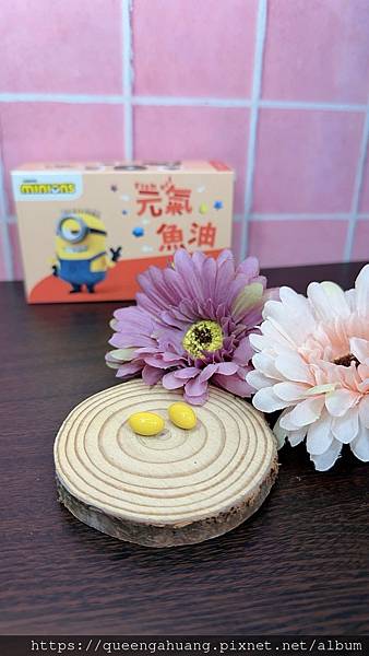 momochan沫沫將小小兵系列-元氣魚油momocha