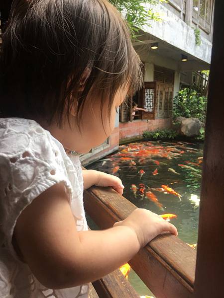 IMG_1065.JPG IMG_1065.JPG