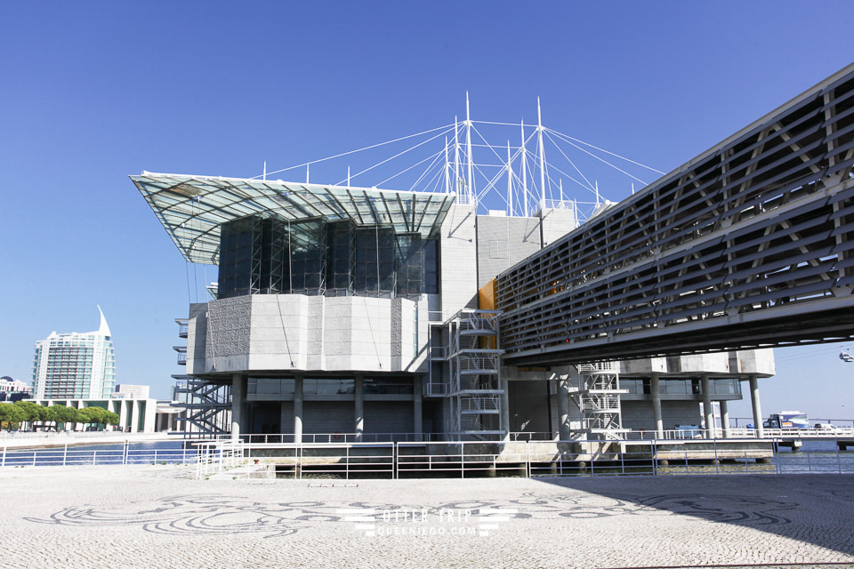 葡萄牙里斯本親子景點/歐洲最大室內海洋館-里斯本海洋水族館Oceanário de Lisboa見萌物海獺