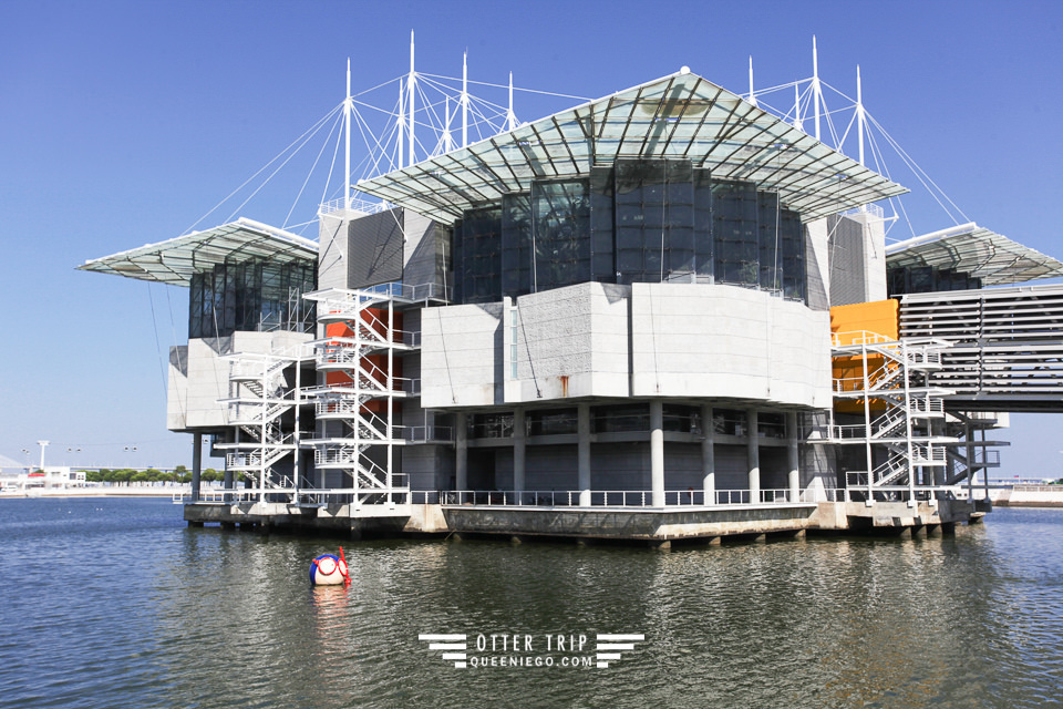 葡萄牙里斯本亲子景点/里斯本海洋水族馆oceanário de lisboa见萌物