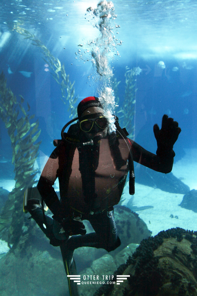 葡萄牙里斯本親子景點/歐洲最大室內海洋館-里斯本海洋水族館Oceanário de Lisboa見萌物海獺