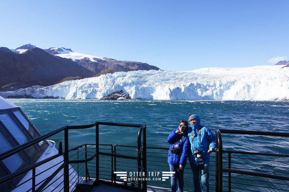 美國阿拉斯加Seward景點 Major Marine Tours出海觀鯨看冰川
