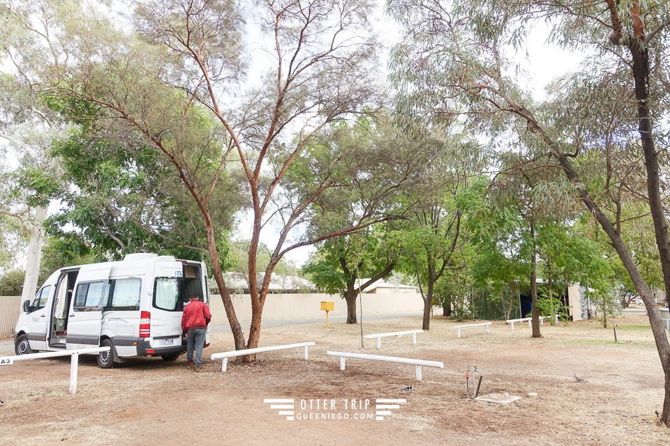 澳洲北領地/愛麗絲泉住宿/Alice Springs Tourist Park/愛麗絲泉露營車營地