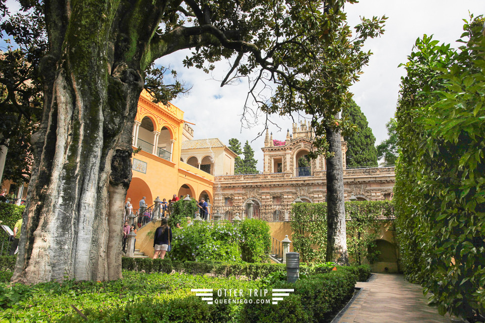 西班牙塞維亞景點/塞維亞王宮 Royal alcázar of seville/權力遊戲-冰與火之歌拍攝地