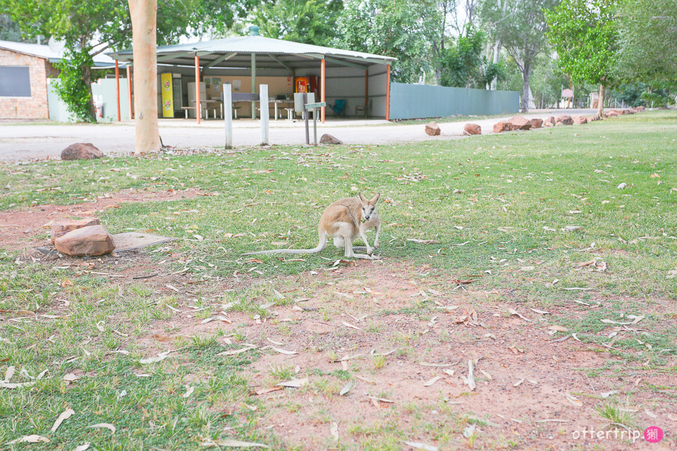 澳洲北領地 尼特米魯克國家公園露營車營地 Nitmiluk Gorge Caravan Park