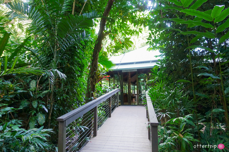 澳洲Daintree住宿推薦 Daintree Eco Lodge 擁有熱帶雨林和潟湖的生態旅館