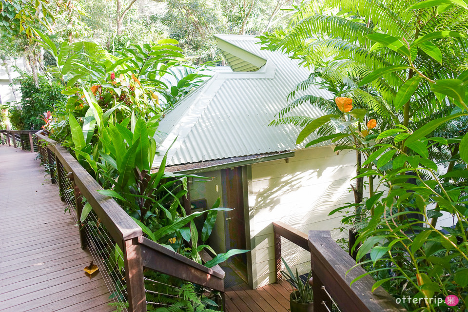 澳洲Daintree住宿推薦 Daintree Eco Lodge 擁有熱帶雨林和潟湖的生態旅館